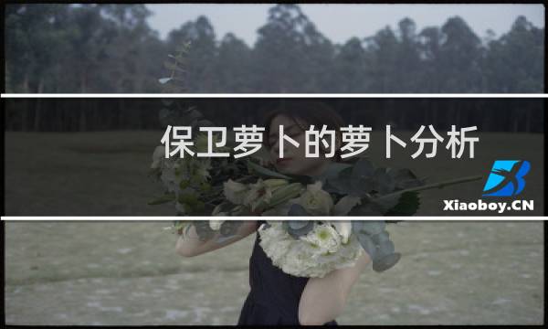 保卫萝卜的萝卜分析