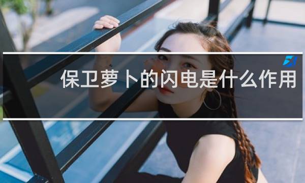 保卫萝卜的闪电是什么作用