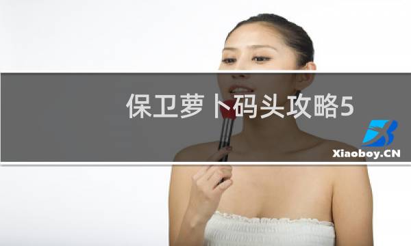 保卫萝卜码头攻略5