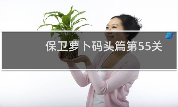 保卫萝卜码头篇第55关