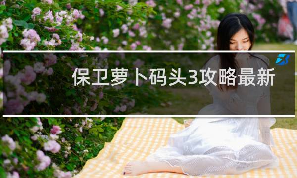 保卫萝卜码头3攻略最新