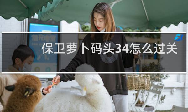 保卫萝卜码头34怎么过关