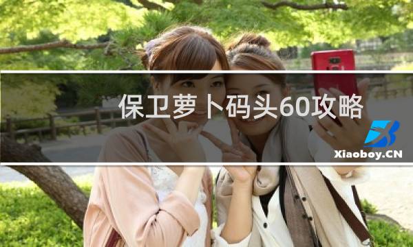 保卫萝卜码头60攻略