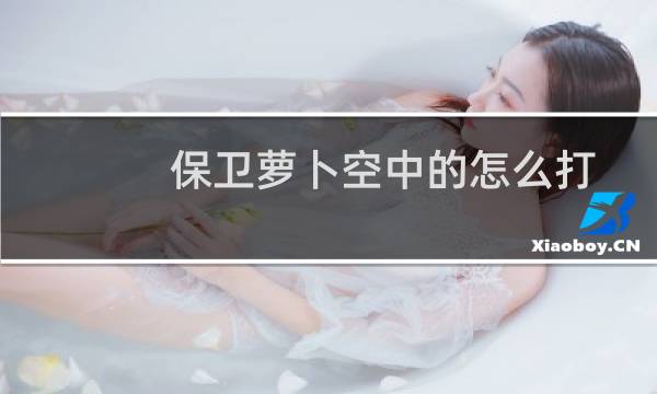 保卫萝卜空中的怎么打