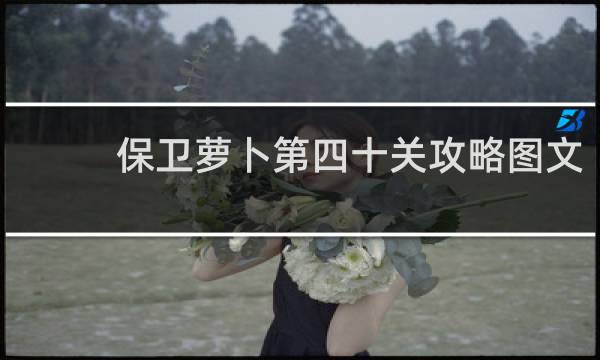 保卫萝卜第四十关攻略图文