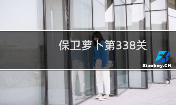 保卫萝卜第338关