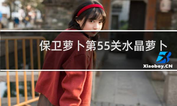 保卫萝卜第55关水晶萝卜