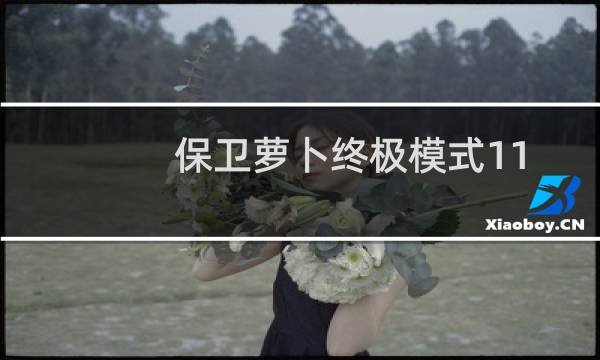 保卫萝卜终极模式11