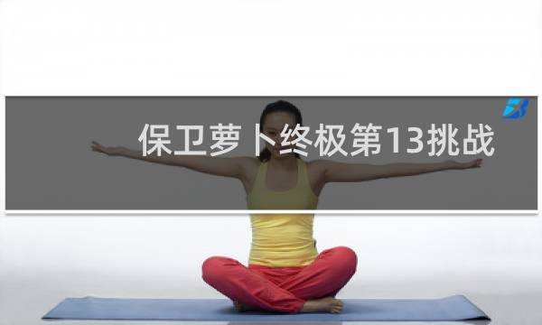 保卫萝卜终极第13挑战