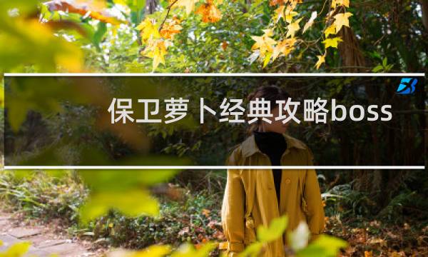 保卫萝卜经典攻略boss