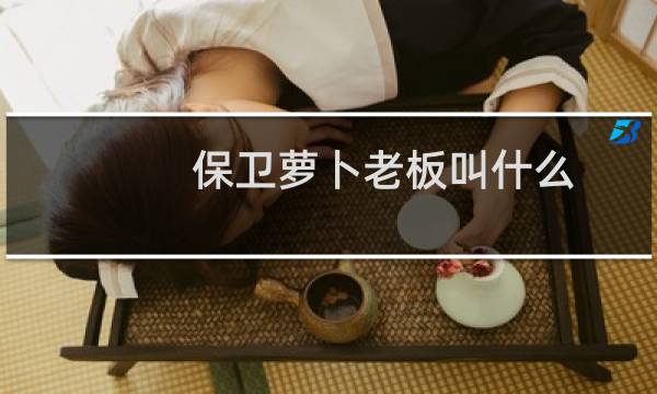 保卫萝卜老板叫什么