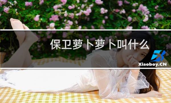 保卫萝卜萝卜叫什么