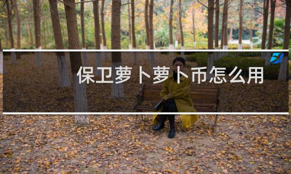 保卫萝卜萝卜币怎么用