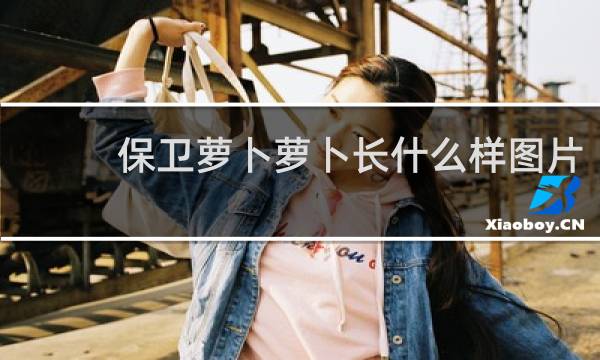 保卫萝卜萝卜长什么样图片
