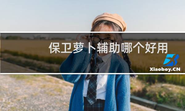 保卫萝卜辅助哪个好用
