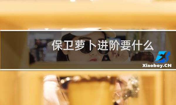 保卫萝卜进阶要什么