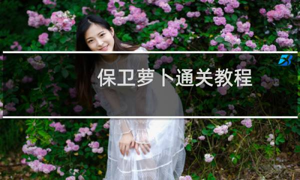 保卫萝卜通关教程