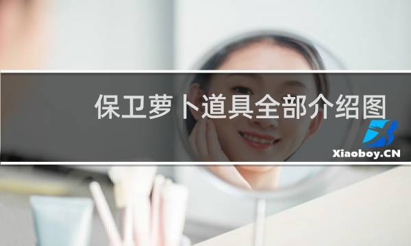 保卫萝卜道具全部介绍图