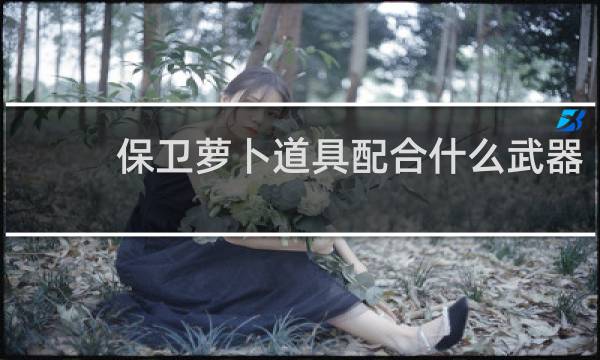 保卫萝卜道具配合什么武器