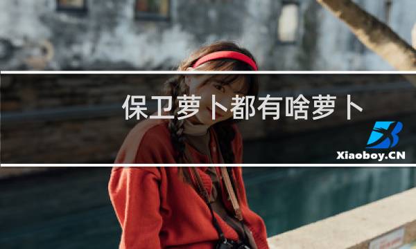 保卫萝卜都有啥萝卜