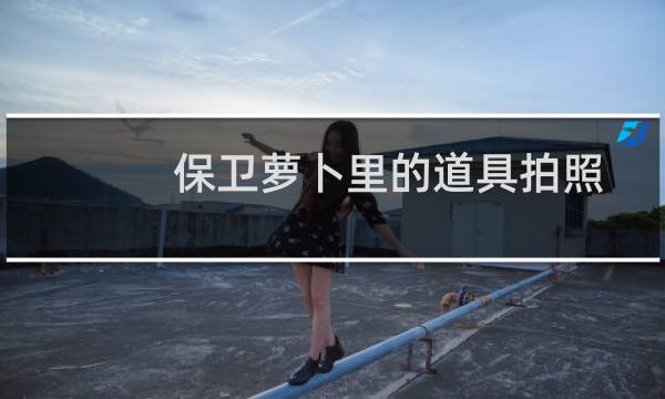 保卫萝卜里的道具拍照