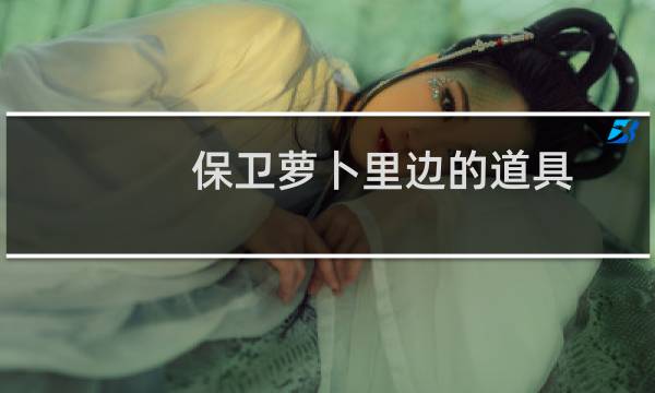 保卫萝卜里边的道具