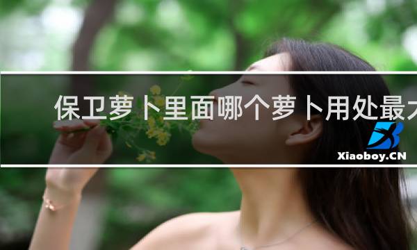 保卫萝卜里面哪个萝卜用处最大
