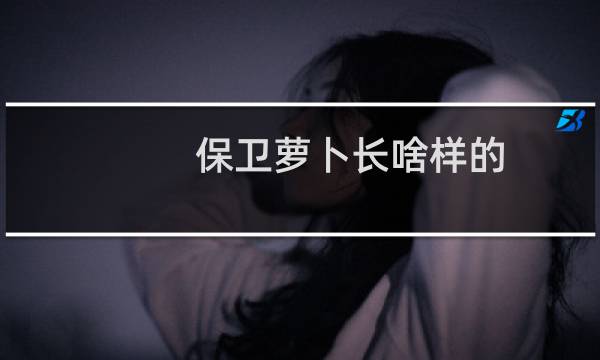 保卫萝卜长啥样的