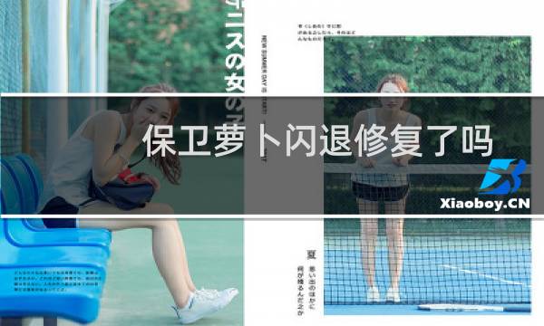 保卫萝卜闪退修复了吗