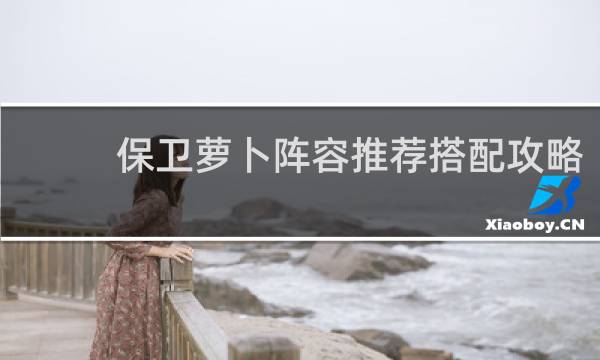 保卫萝卜阵容推荐搭配攻略