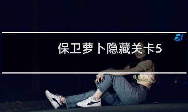 保卫萝卜隐藏关卡5