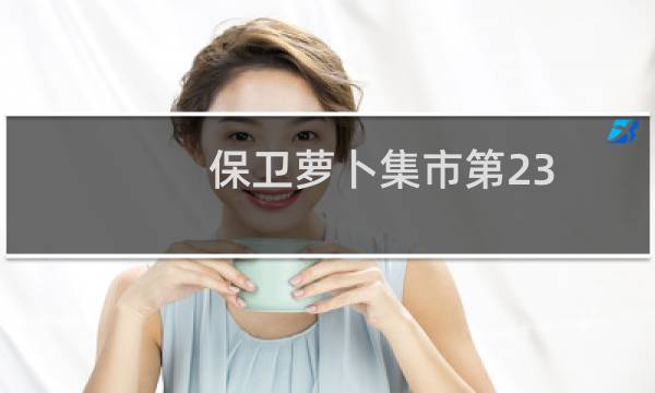 保卫萝卜集市第23