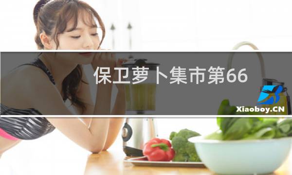 保卫萝卜集市第66