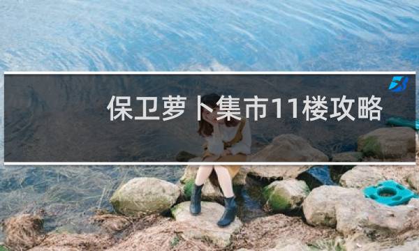 保卫萝卜集市11楼攻略