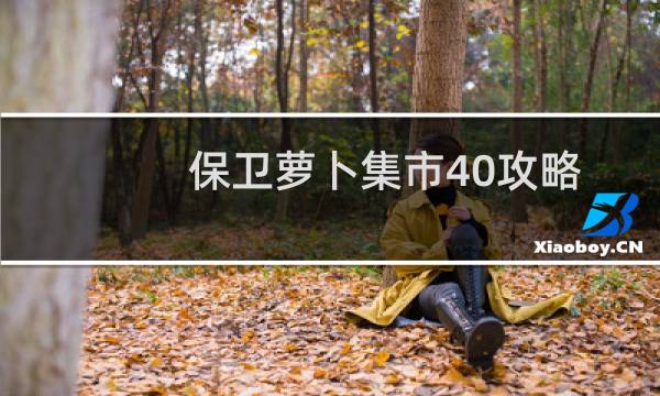 保卫萝卜集市40攻略