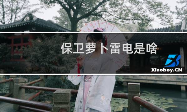 保卫萝卜雷电是啥