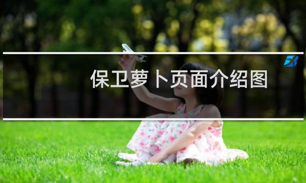 保卫萝卜页面介绍图