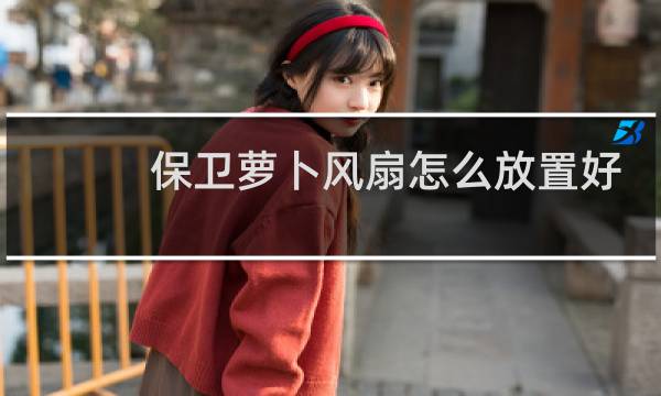 保卫萝卜风扇怎么放置好