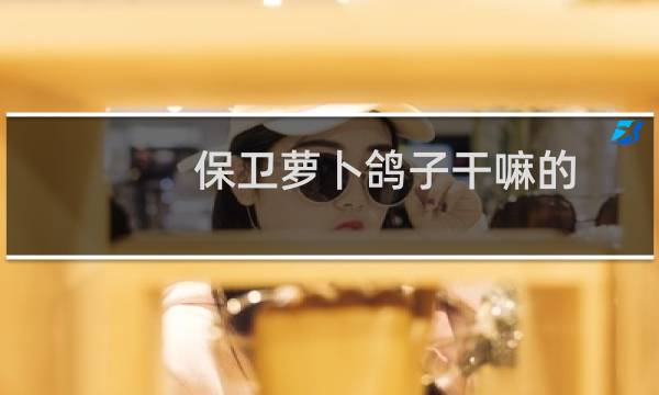 保卫萝卜鸽子干嘛的