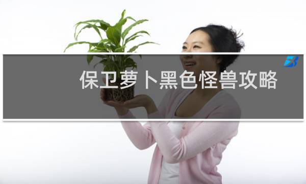 保卫萝卜黑色怪兽攻略