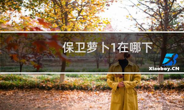 保卫萝卜1在哪下