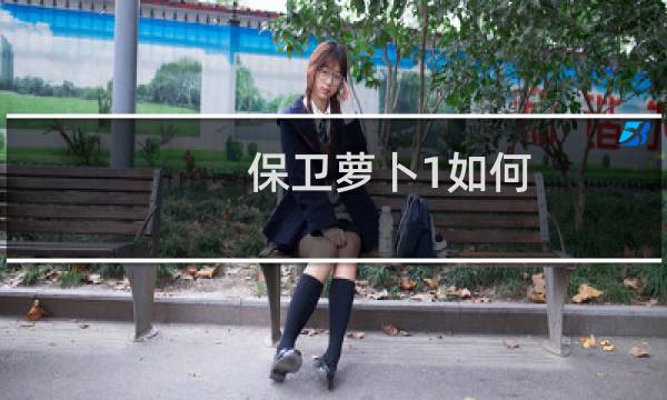 保卫萝卜1如何