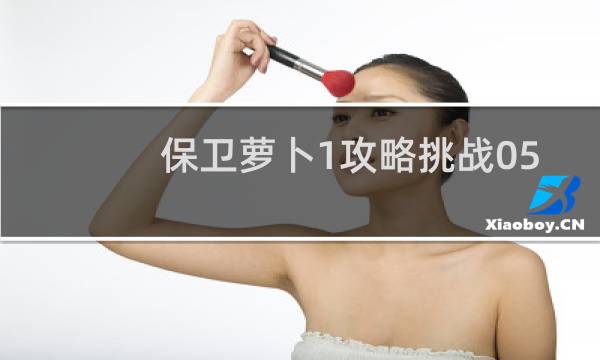 保卫萝卜1攻略挑战05