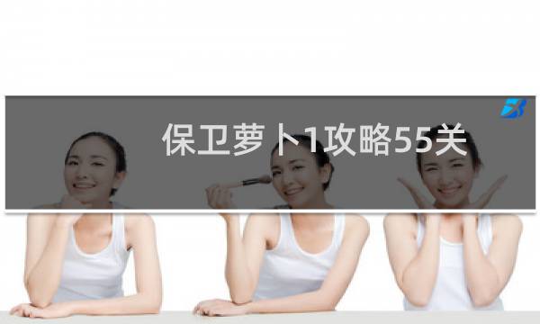 保卫萝卜1攻略55关