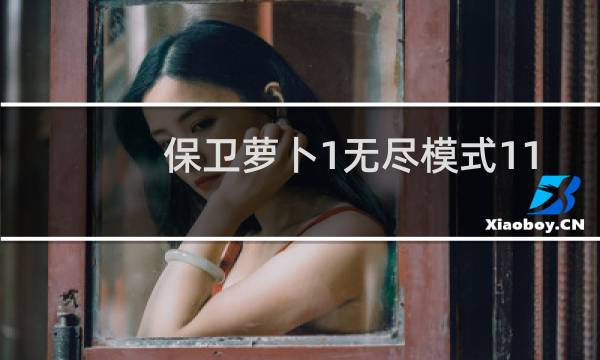 保卫萝卜1无尽模式11