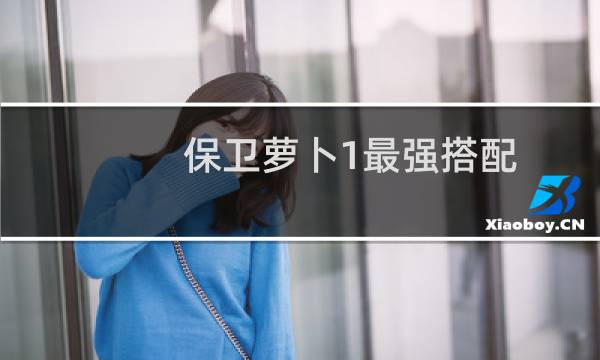 保卫萝卜1最强搭配