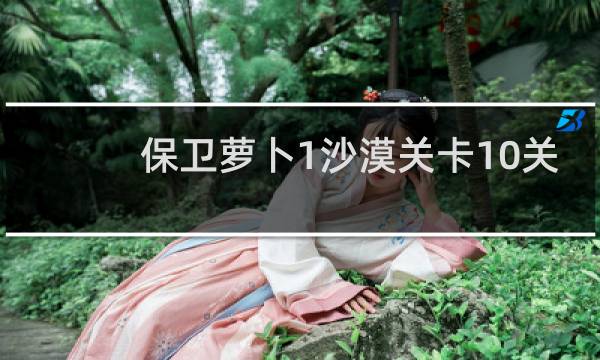 保卫萝卜1沙漠关卡10关