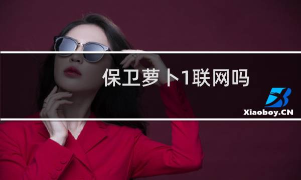 保卫萝卜1联网吗