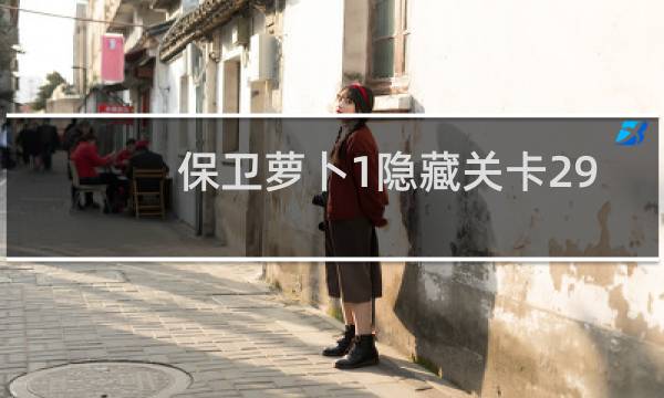 保卫萝卜1隐藏关卡29