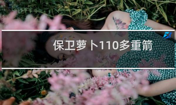 保卫萝卜110多重箭